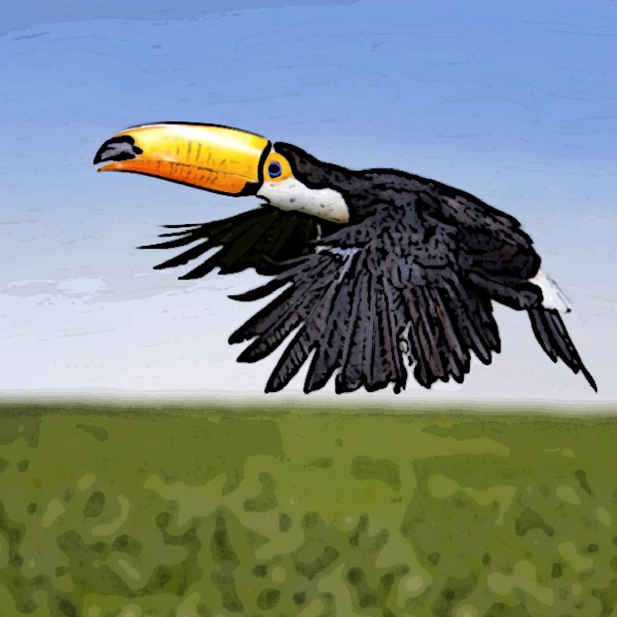 It Lives in the Amazon